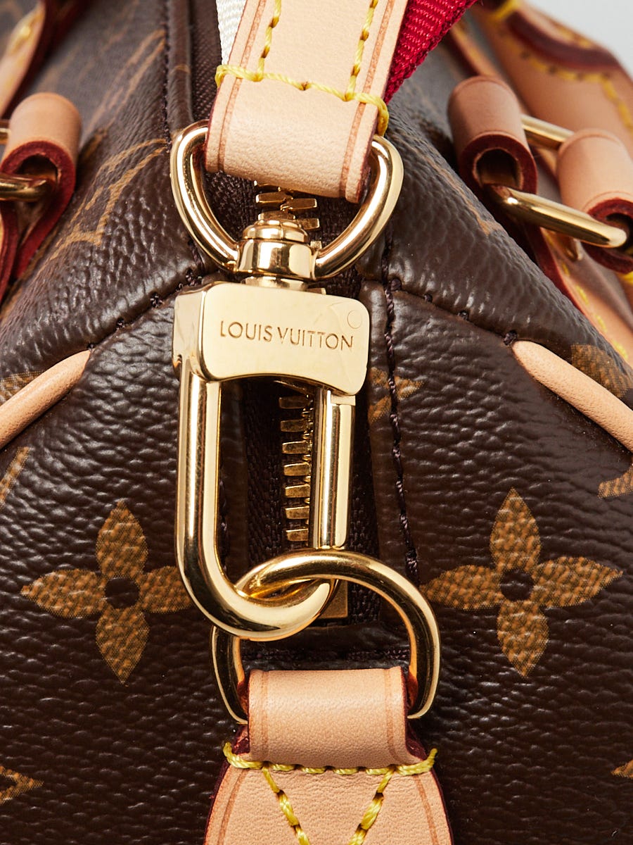 Louis Vuitton Speedy 20 Bandouliere with Detachable LV Textile Strap