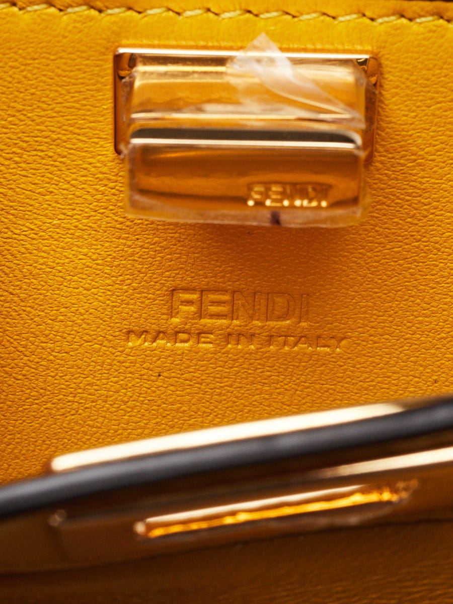 Fendi 2022 Nano Peekaboo Maxi Handle Bag