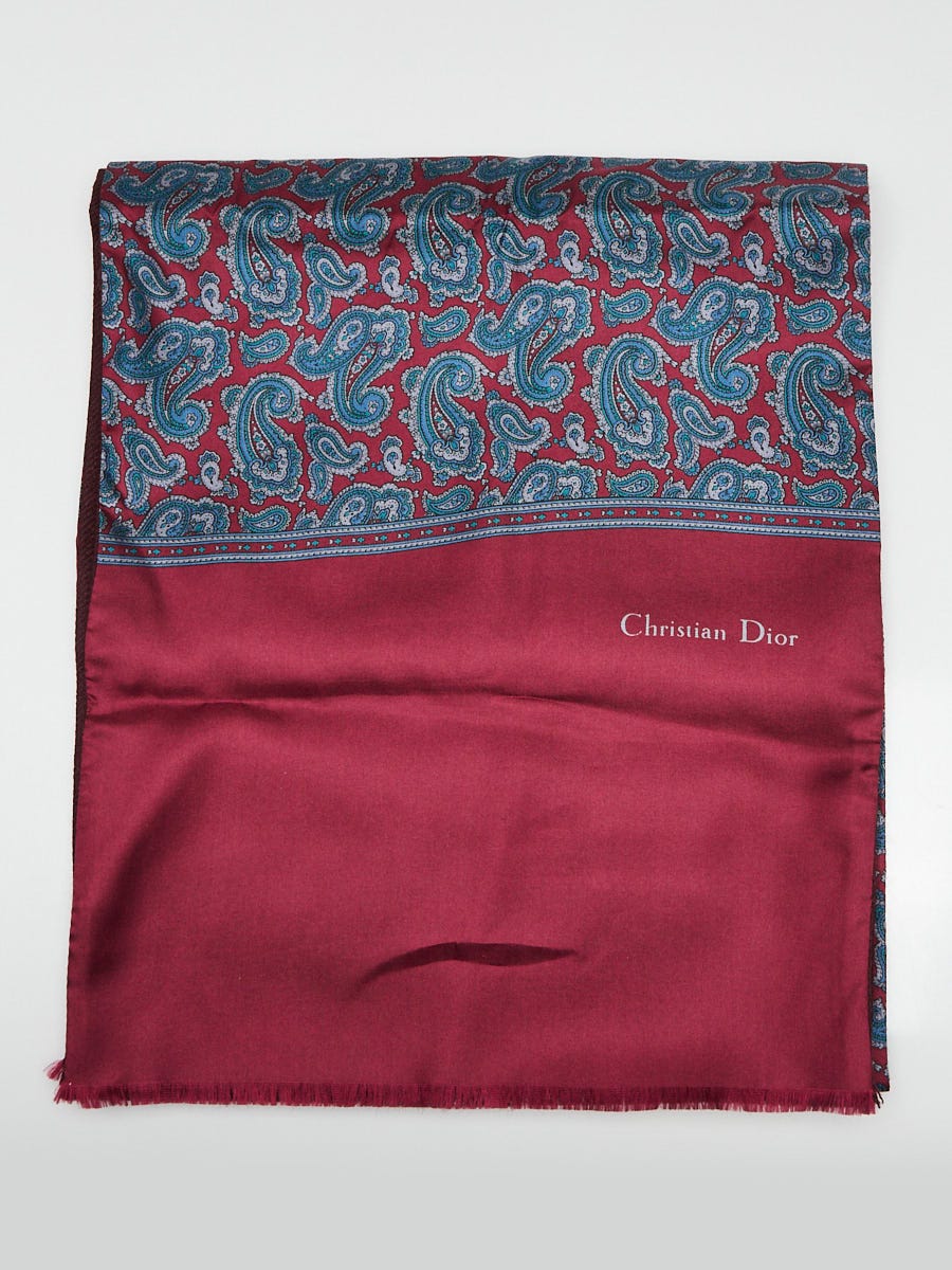 Christian Dior Printed Silk Scarf