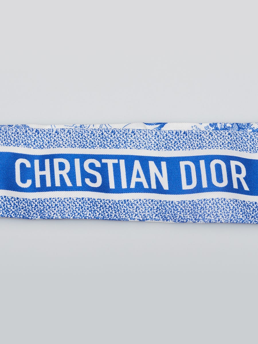 Christian Dior Blue/White Silk Toile De Jouy Sauvage Mitzah