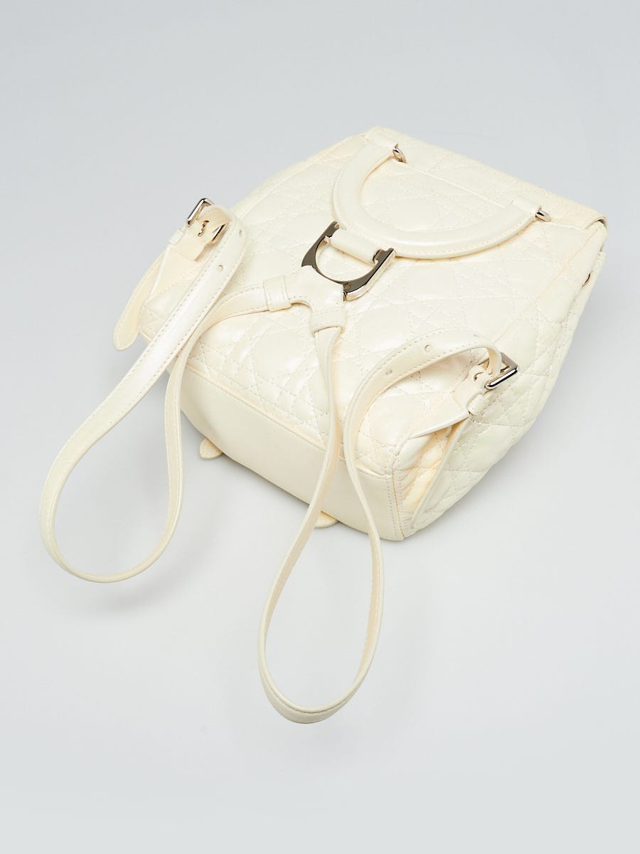 Vintage hotsell dior backpack