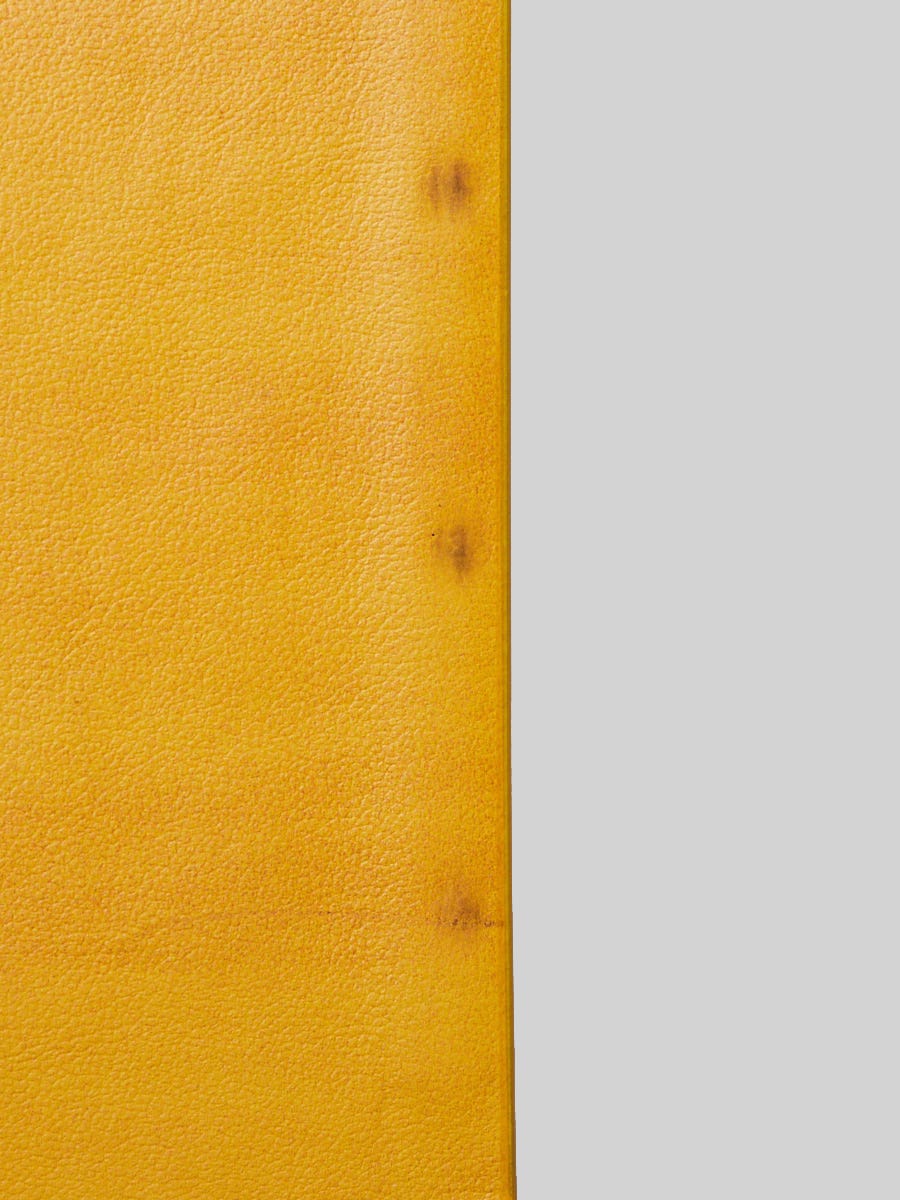 Fendi Yellow Vitello Leather Vertical Box Crossbody Bag - 7VA519