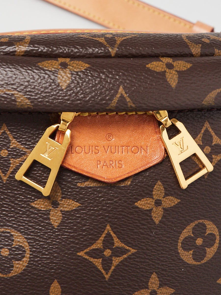 Louis Vuitton Monogram Canvas Bumbag Bag | Yoogi's Closet