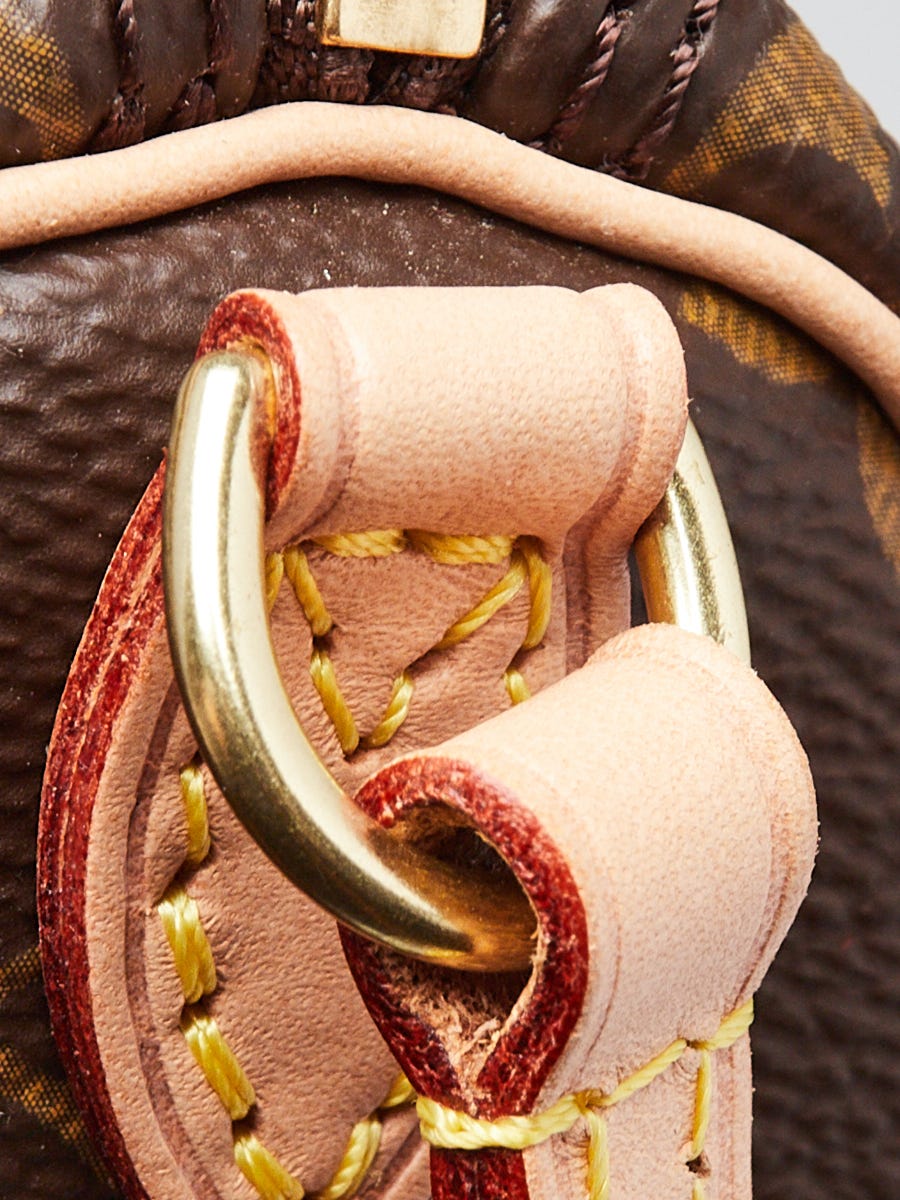 Louis Vuitton ナノ スピーディー バッグ_Monogram Canvas Louis Vuitton Monogram Canvas Nano Speedy Bandouliere Bag