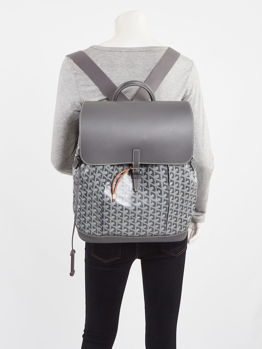 Goyard Grey Chevron Print Coated Canvas Alpin MM Backpack