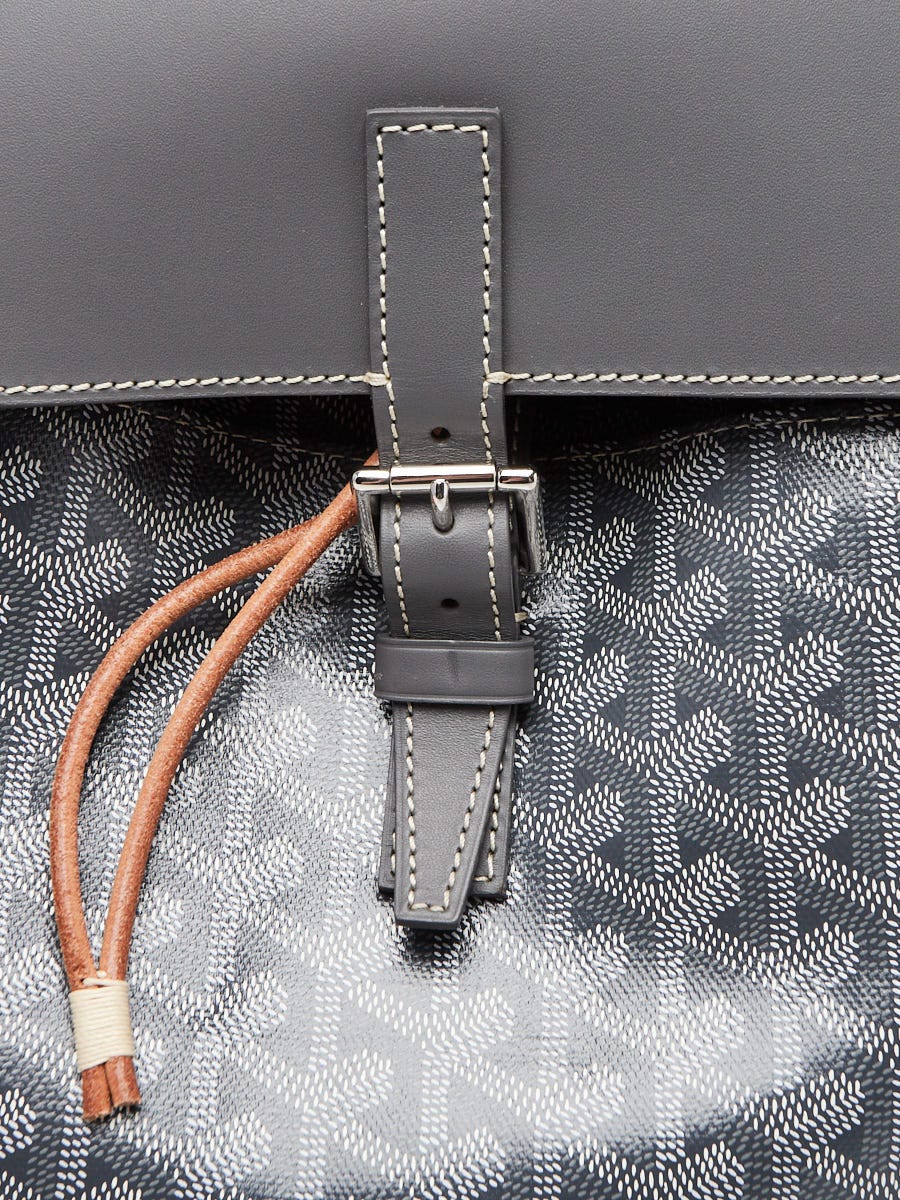 Goyard Grey Chevron Print Coated Canvas Alpin MM Backpack