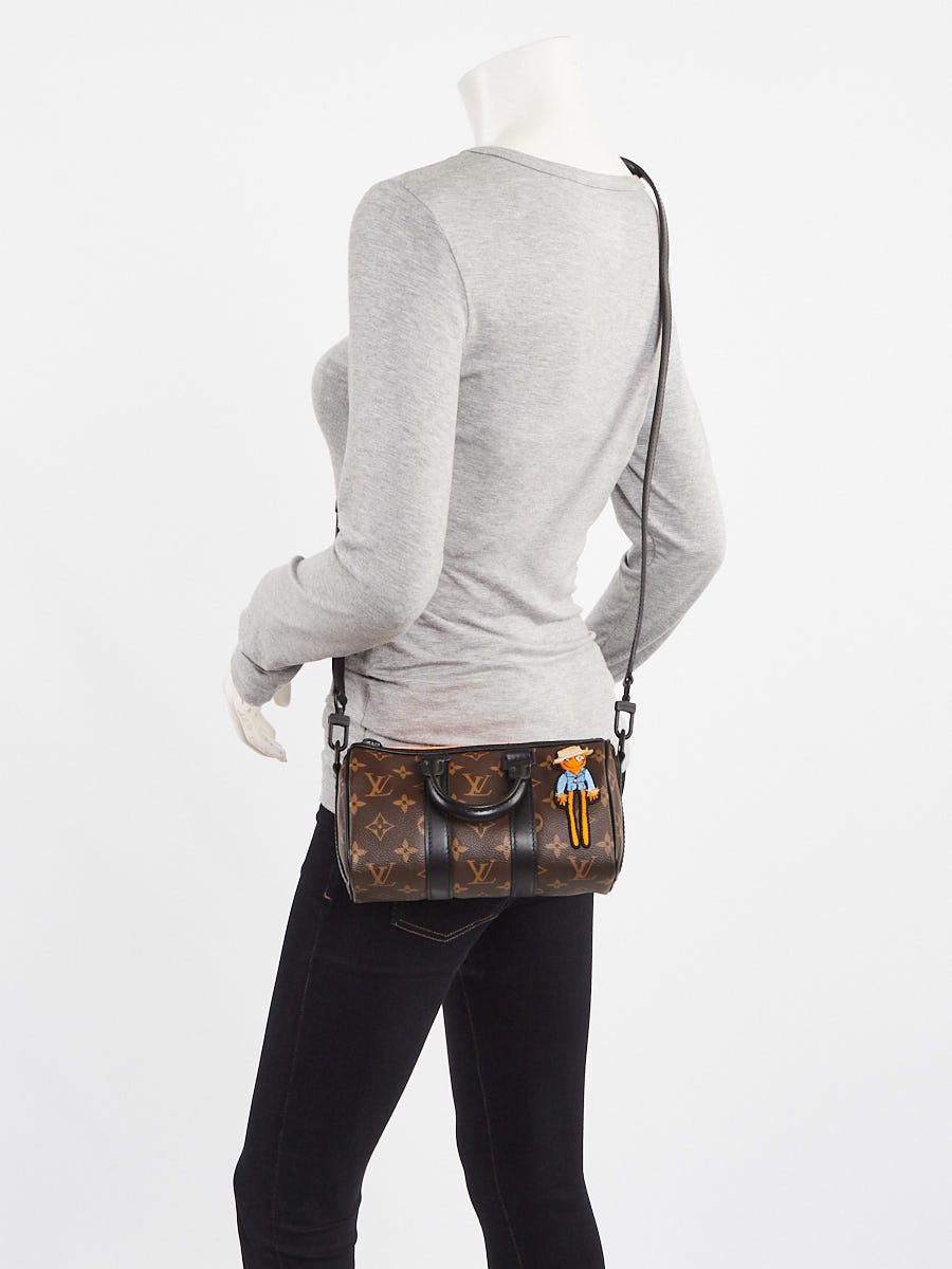 Louis Vuitton Monogram Macassar Canvas Zoom With Friends