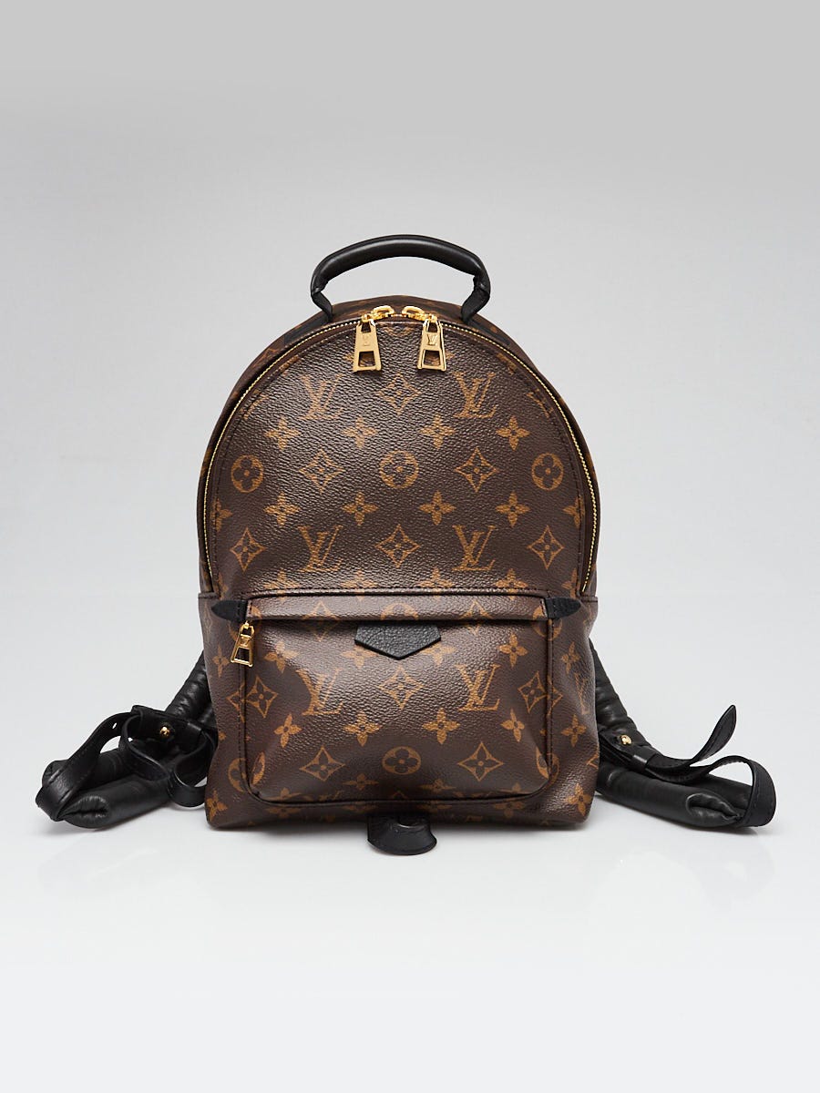 Louis Vuitton Monogram Canvas Palm Springs PM Backpack Bag  display picture 2