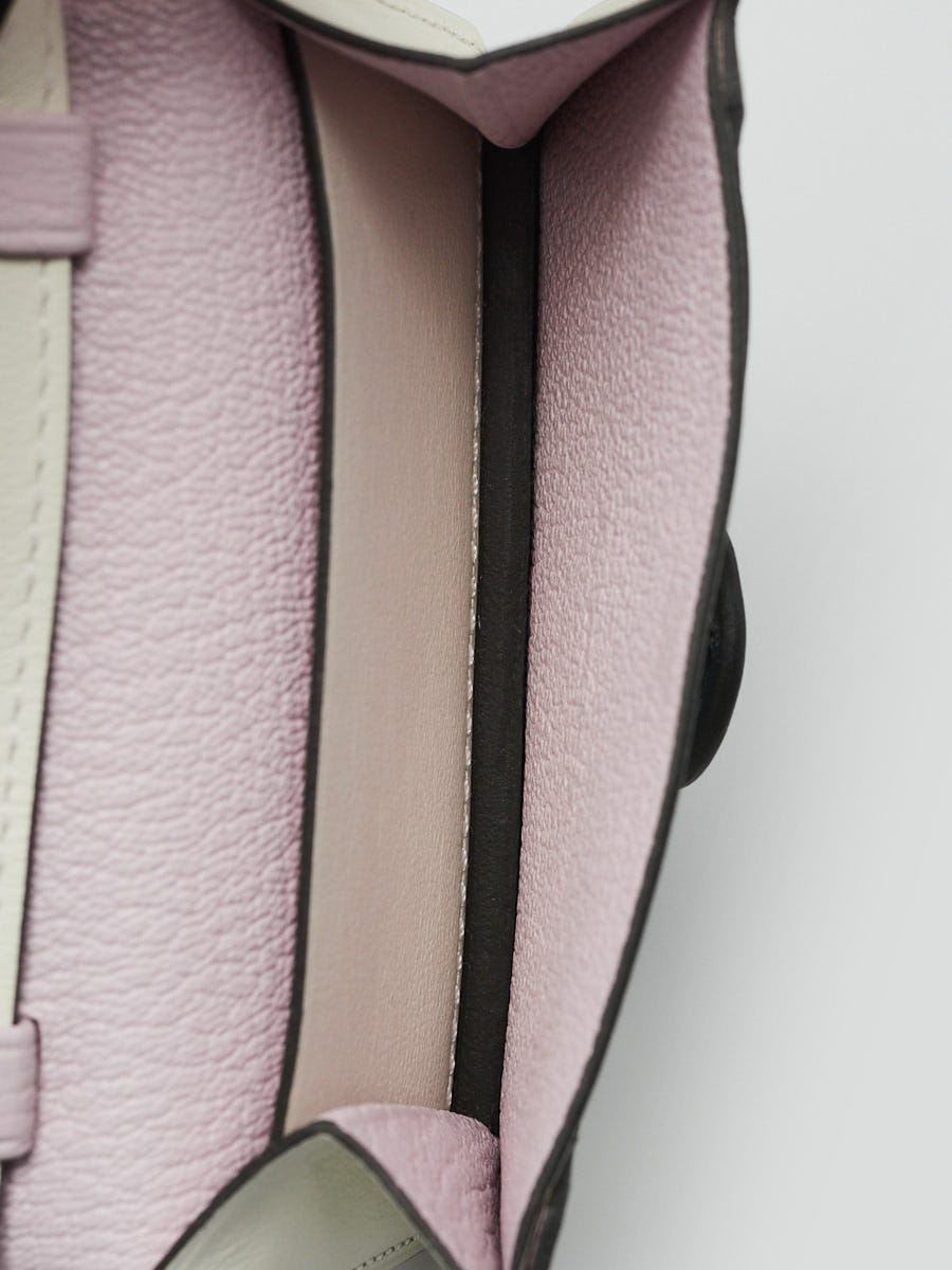 Hermes Mushroom/vert Rousseau/Mauve Pale Swift Leather Chien