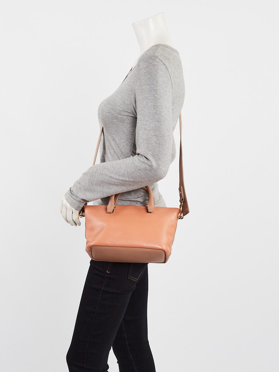 Chloe Two-Tone Pink Calfskin Leather Mini Baylee Bag | Yoogi's Closet