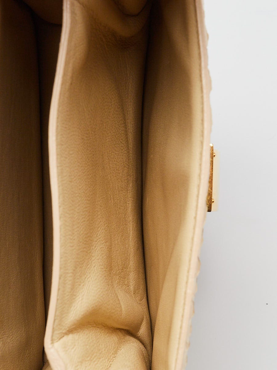 Celine Beige Python Mini Box Bag | Yoogi's Closet