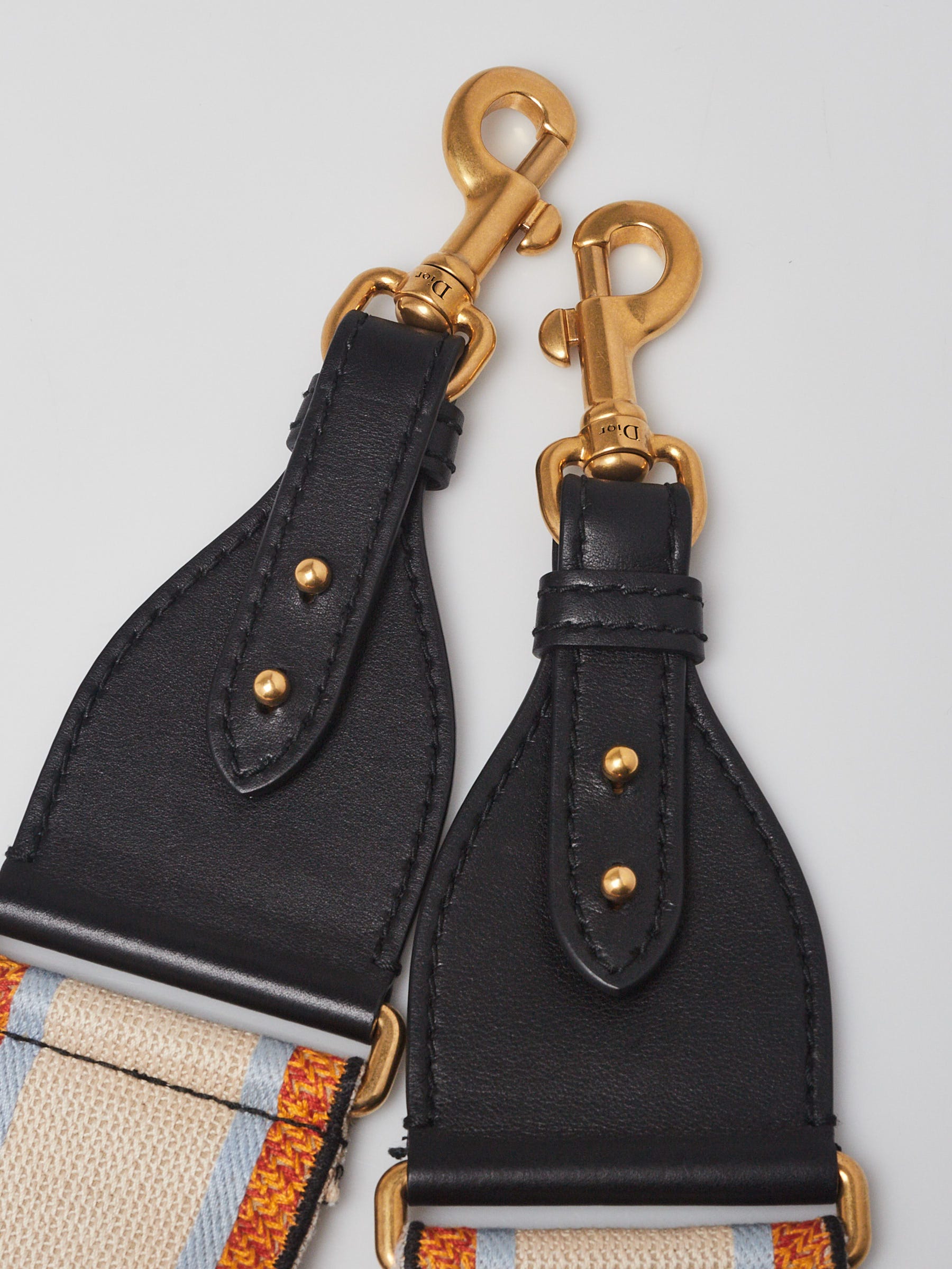 Christian Dior Multicolor Dior Embroidered Canvas Logo Strap