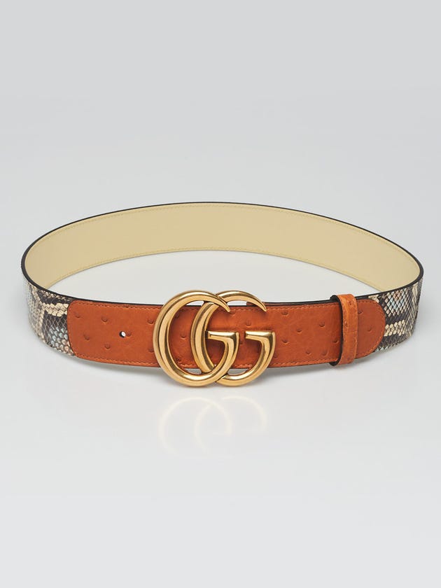 Gucci Multicolor/Brown Snakeskin/Ostrich GG Belt Size 80/32