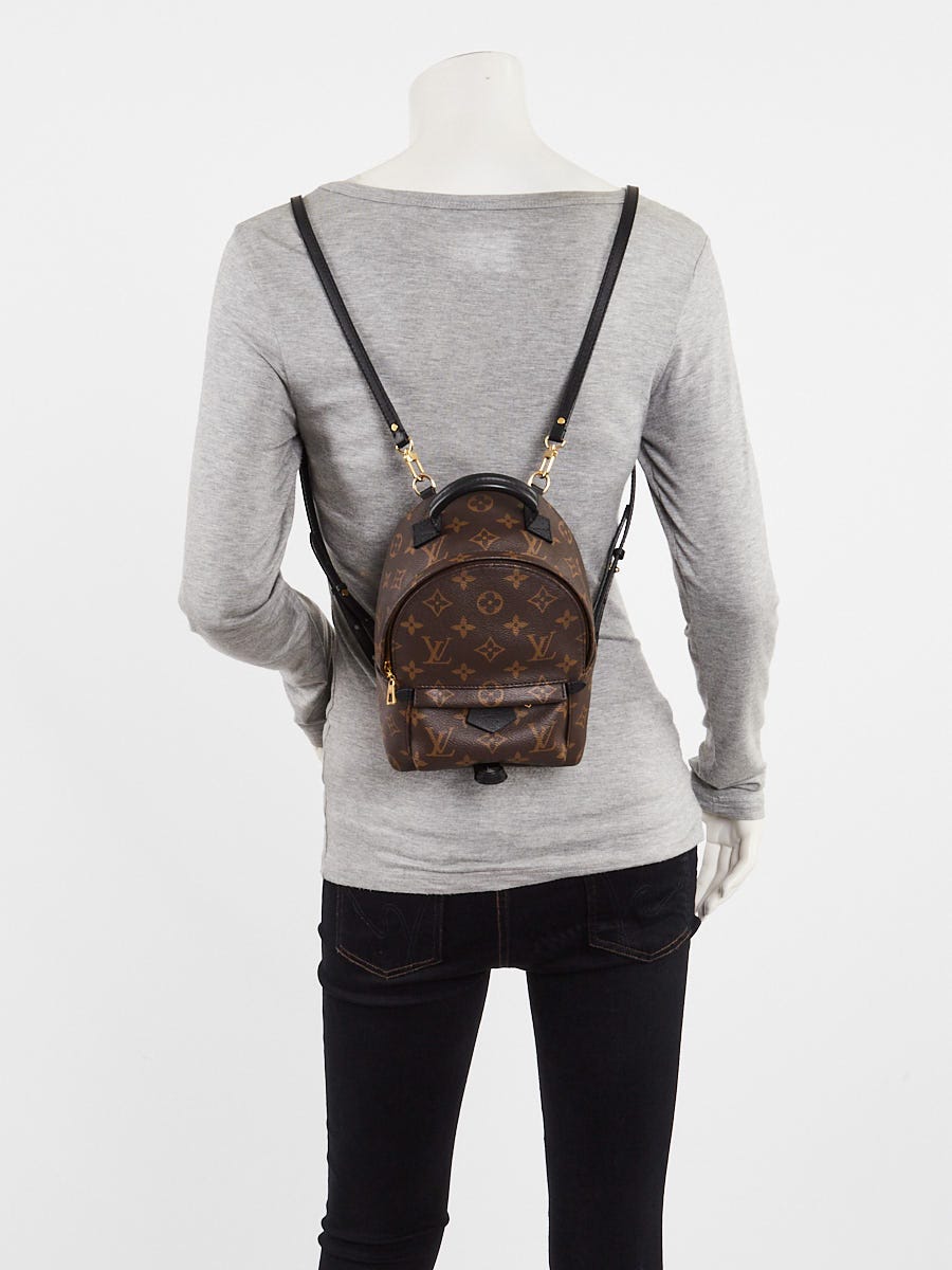 Louis Vuitton Monogram Canvas Palm Springs Mini Backpack Bag