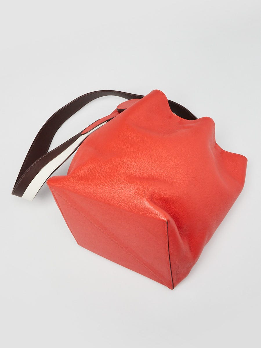 Hermes Capucine Evercolor Leather Licol 17 Bucket Bag | Yoogi's Closet