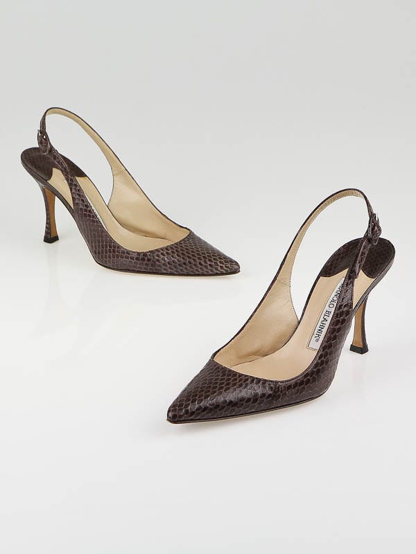 Manolo Blahnik Brown Snakeskin Slingback Pointed Toe Pumps