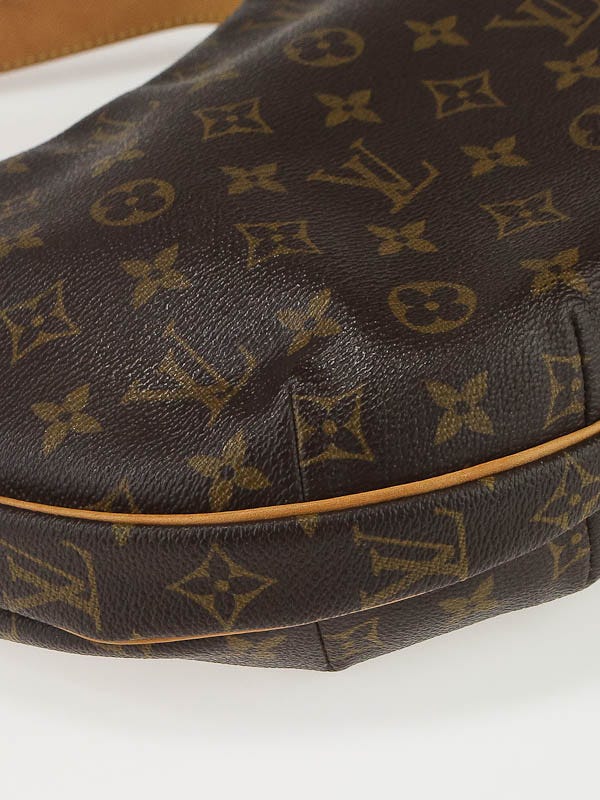 Louis Vuitton monogram croissant MM shoulder bag – Bag Babes Boutique LLC