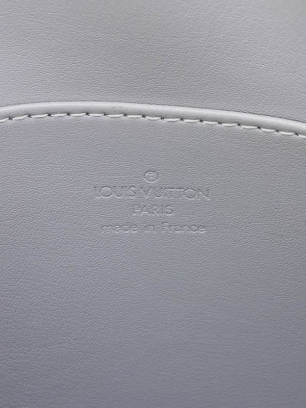 Louis Vuitton Gris Monogram Vernis Murray Backpack Bag  display picture 1