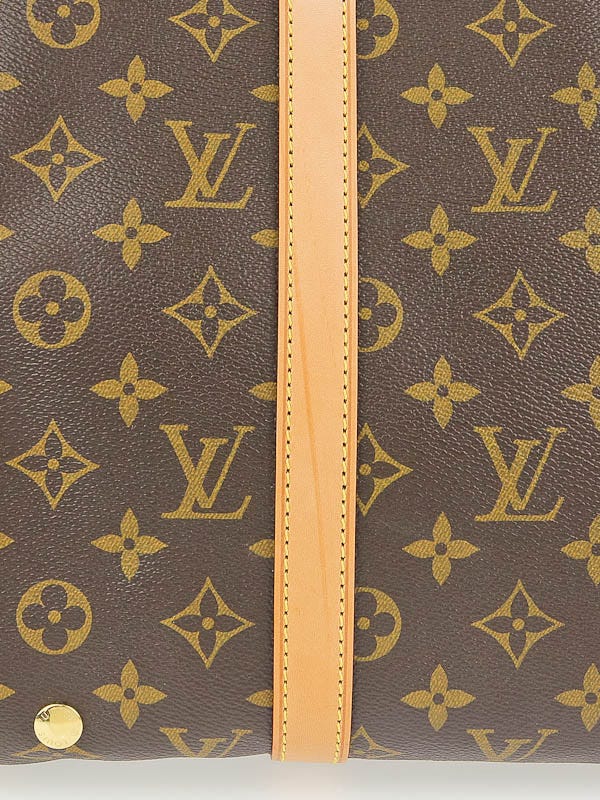 Louis Vuitton Monogram Canvas Baxter PM Dog Carrier - Yoogi's Closet
